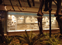 artifact mounts, exhibit consulting, Carnegie Museum of Natural History